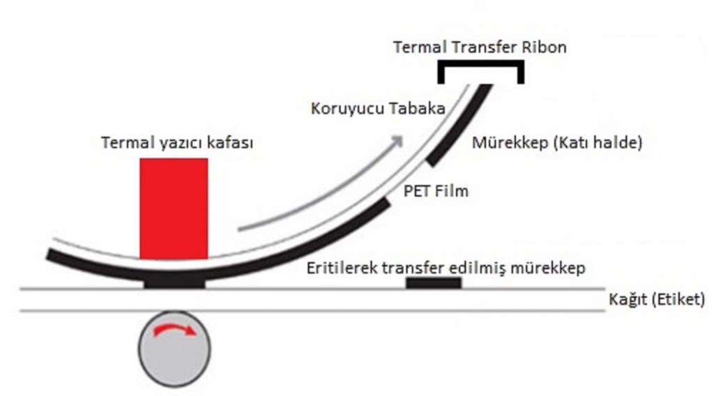 Ribon2